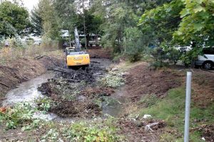 land clearing excavation gbd-llc