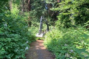 land clearing excavation gbd-llc