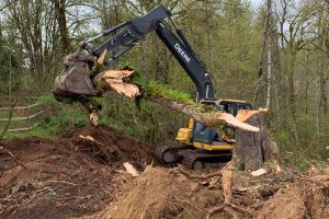 land clearing excavation gbd-llc